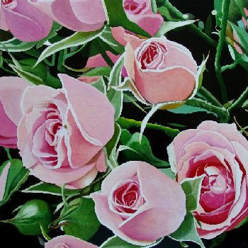 Rosas 2